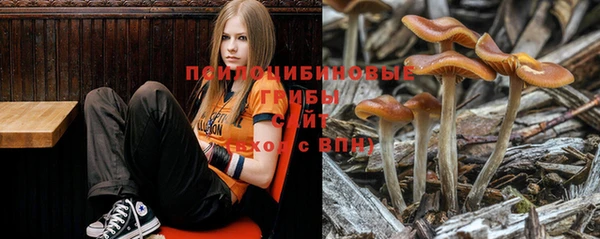 MESCALINE Алексеевка