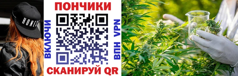shop какой сайт  Зеленоградск  Канабис сатива 